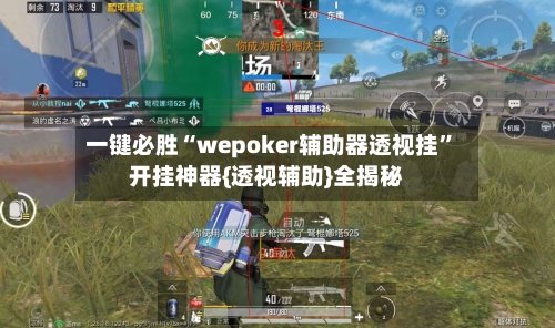 一键必胜“wepoker辅助器透视挂	”开挂神器{透视辅助}全揭秘-第2张图片