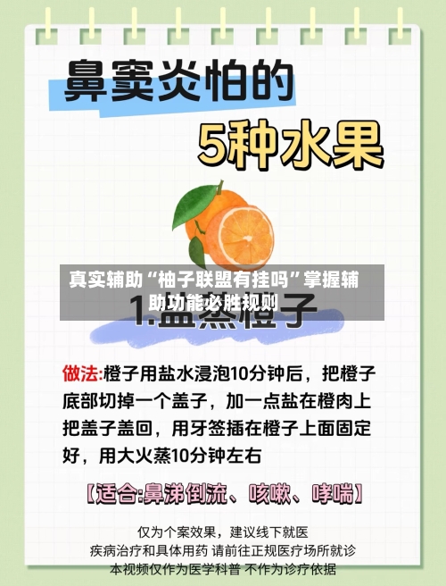 真实辅助“柚子联盟有挂吗”掌握辅助功能必胜规则-第3张图片