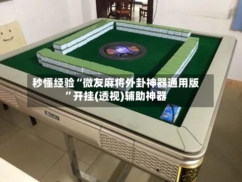 秒懂经验“微友麻将外卦神器通用版”开挂(透视)辅助神器-第3张图片