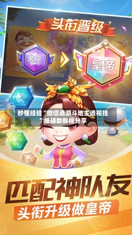 秒懂经验“微信途游斗地主透视挂	”细辅助教程分享-第2张图片