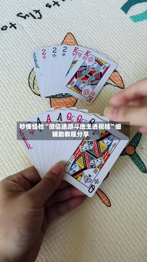 秒懂经验“微信途游斗地主透视挂”细辅助教程分享-第3张图片