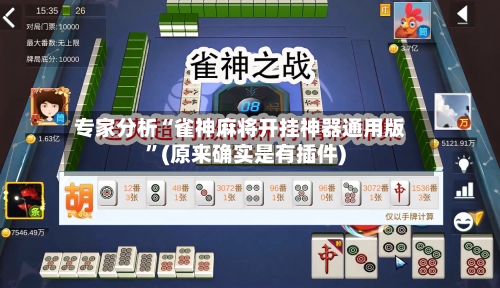 专家分析“雀神麻将开挂神器通用版”(原来确实是有插件)-第2张图片