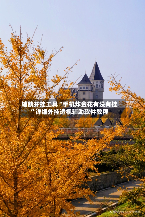 辅助开挂工具“手机炸金花有没有挂”详细外挂透视辅助软件教程-第3张图片