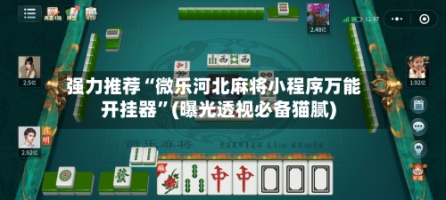 强力推荐“微乐河北麻将小程序万能开挂器	”(曝光透视必备猫腻)-第2张图片