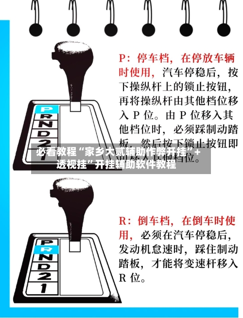 必看教程“家乡大贰辅助作弊开挂”+透视挂”开挂辅助软件教程