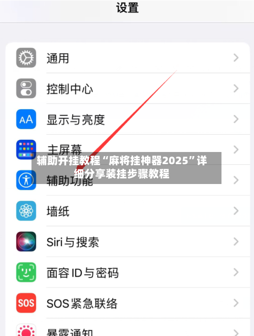辅助开挂教程“麻将挂神器2025”详细分享装挂步骤教程-第3张图片
