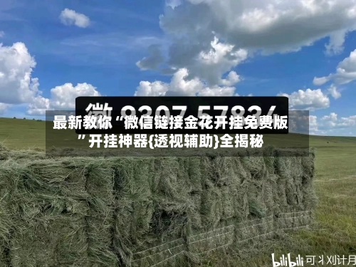最新教你“微信链接金花开挂免费版”开挂神器{透视辅助}全揭秘-第2张图片