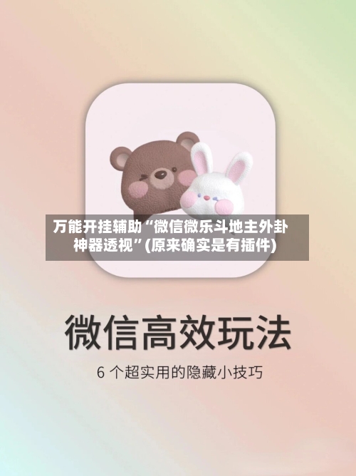 万能开挂辅助“微信微乐斗地主外卦神器透视”(原来确实是有插件)-第2张图片