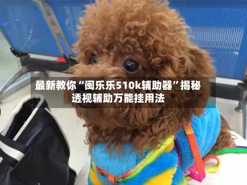 最新教你“闽乐乐510k辅助器	”揭秘透视辅助万能挂用法-第2张图片