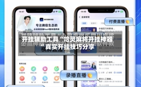 开挂辅助工具“哈灵麻将开挂神器”真实开挂技巧分享-第2张图片