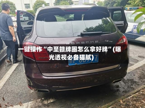 一键操作“中至赣牌圈怎么拿好牌”(曝光透视必备猫腻)-第2张图片