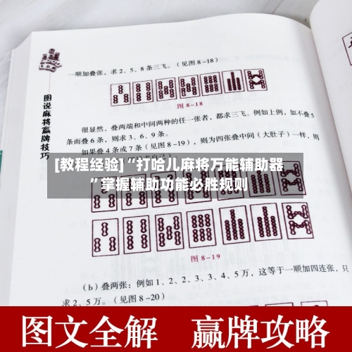 [教程经验]“打哈儿麻将万能辅助器	”掌握辅助功能必胜规则-第2张图片
