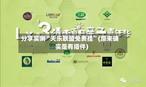 分享实测“天乐联盟免费挂”(原来确实是有插件)-第3张图片