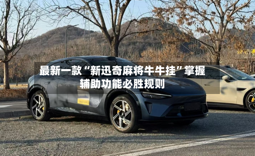 最新一款“新迅奇麻将牛牛挂”掌握辅助功能必胜规则