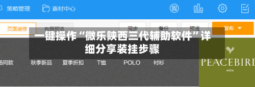 一键操作“微乐陕西三代辅助软件”详细分享装挂步骤-第3张图片