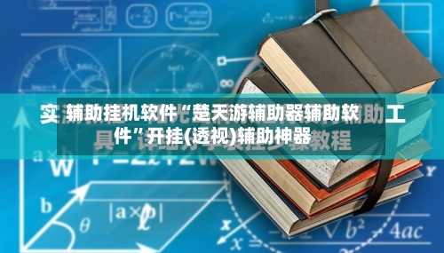 辅助挂机软件“楚天游辅助器辅助软件”开挂(透视)辅助神器-第2张图片