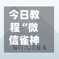 今日教程“微信雀神广东麻将开挂神器”科技辅助神器手机版教程-第2张图片