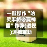 一键操作“哈灵麻将必赢神器	”作弊(透视)透视辅助-第2张图片