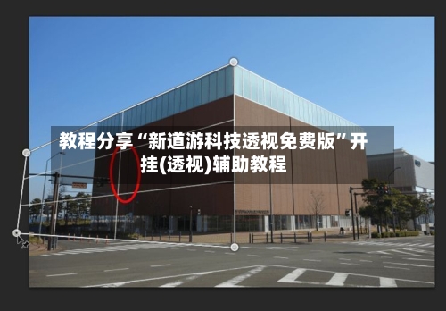 教程分享“新道游科技透视免费版	”开挂(透视)辅助教程-第3张图片