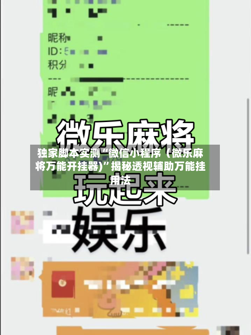 独家脚本实测“微信小程序（微乐麻将万能开挂器)	”揭秘透视辅助万能挂用法-第2张图片