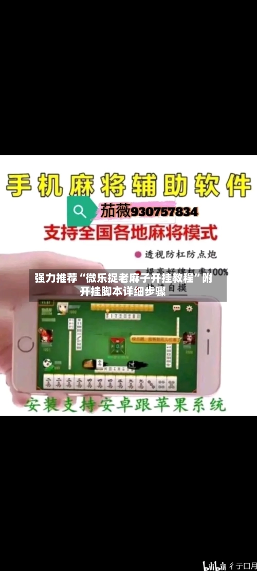 强力推荐“微乐捉老麻子开挂教程”附开挂脚本详细步骤-第3张图片