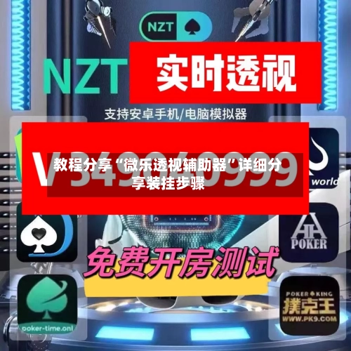 教程分享“微乐透视辅助器	”详细分享装挂步骤-第2张图片