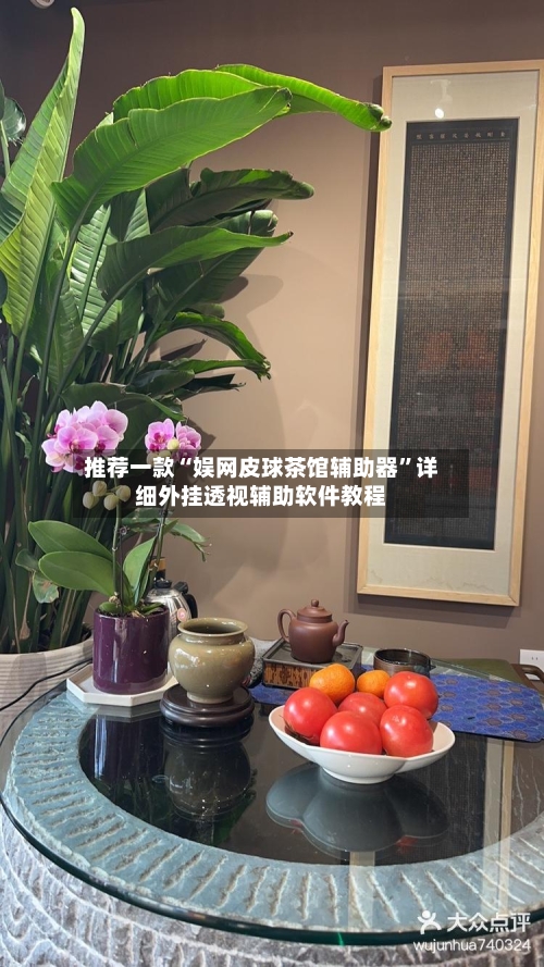 推荐一款“娱网皮球茶馆辅助器”详细外挂透视辅助软件教程-第3张图片