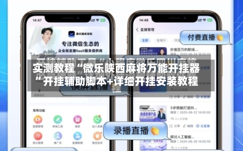 实测教程“微乐陕西麻将万能开挂器”开挂辅助脚本+详细开挂安装教程-第3张图片