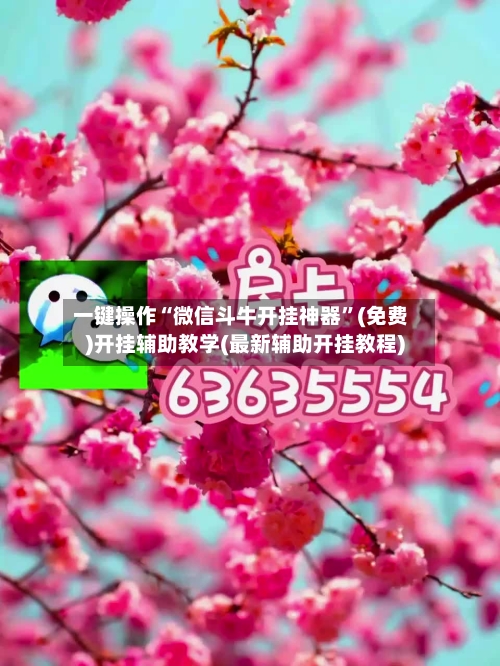 一键操作“微信斗牛开挂神器”(免费)开挂辅助教学(最新辅助开挂教程)-第3张图片