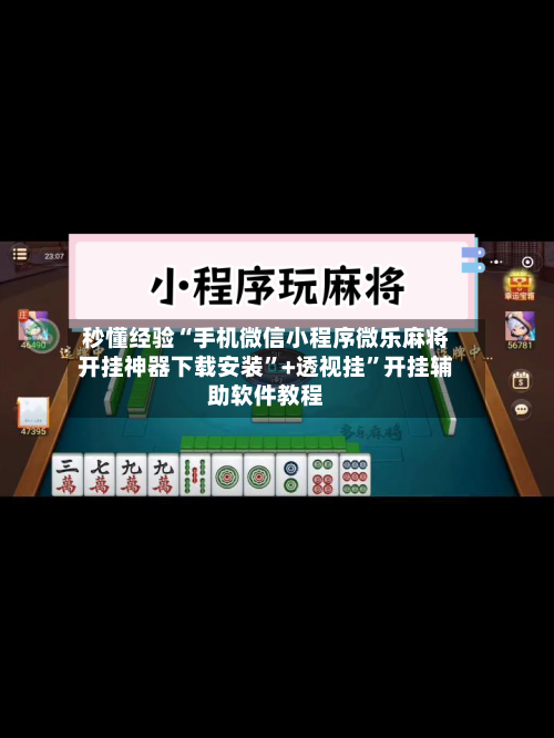 秒懂经验“手机微信小程序微乐麻将开挂神器下载安装”+透视挂”开挂辅助软件教程-第2张图片