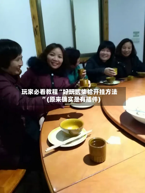 玩家必看教程“好玩贰柒拾开挂方法”(原来确实是有插件)-第3张图片