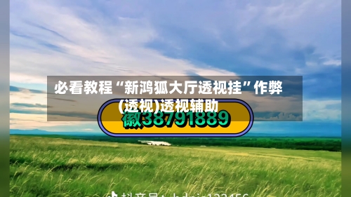 必看教程“新鸿狐大厅透视挂	”作弊(透视)透视辅助-第2张图片