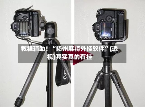 教程辅助！“扬州麻将外挂软件”(透视)其实真的有挂-第2张图片