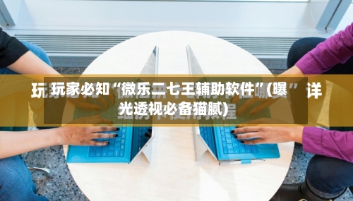 玩家必知“微乐二七王辅助软件”(曝光透视必备猫腻)-第2张图片