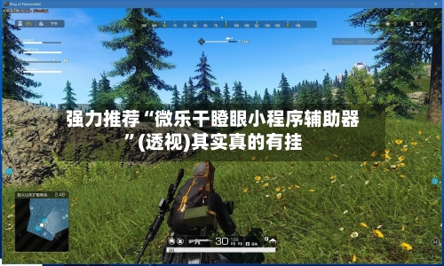强力推荐“微乐干瞪眼小程序辅助器	”(透视)其实真的有挂-第2张图片
