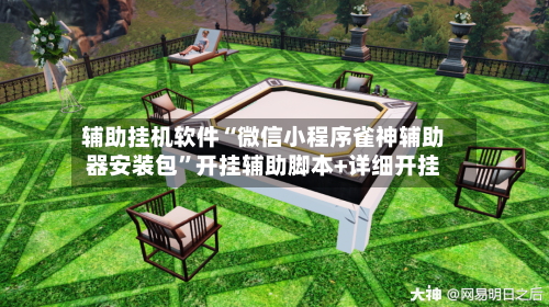 辅助挂机软件“微信小程序雀神辅助器安装包”开挂辅助脚本+详细开挂-第2张图片