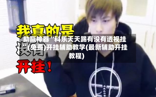 助赢神器“科乐天天踢有没有透视挂”(免费)开挂辅助教学(最新辅助开挂教程)-第2张图片