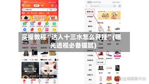 实操教程“达人十三水怎么开挂	”(曝光透视必备猫腻)-第2张图片