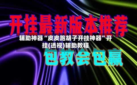 辅助神器“皮皮跑胡子开挂神器”开挂(透视)辅助教程-第2张图片