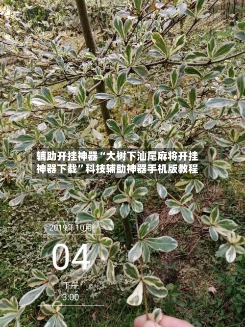 辅助开挂神器“大树下汕尾麻将开挂神器下载”科技辅助神器手机版教程-第2张图片