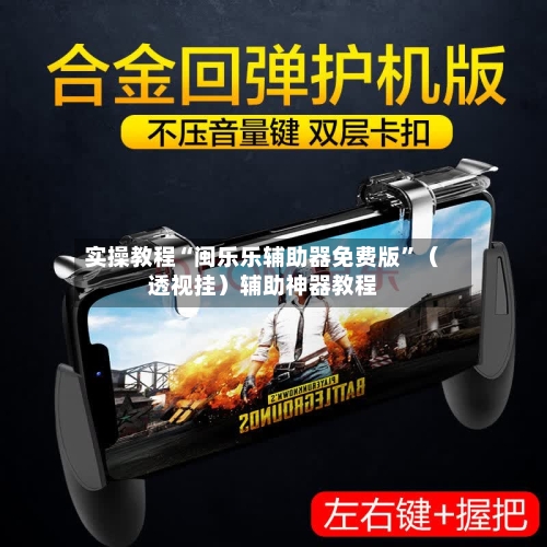 实操教程“闽乐乐辅助器免费版”（透视挂）辅助神器教程-第3张图片