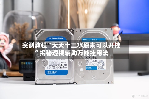 实测教程“天天十三水原来可以开挂”揭秘透视辅助万能挂用法-第3张图片