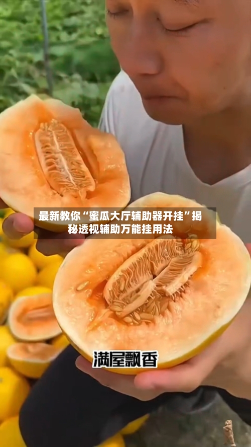 最新教你“蜜瓜大厅辅助器开挂”揭秘透视辅助万能挂用法-第2张图片