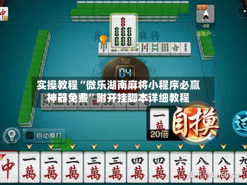 实操教程“微乐湖南麻将小程序必赢神器免费”附开挂脚本详细教程-第2张图片