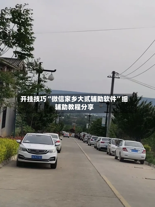 开挂技巧“微信家乡大贰辅助软件”细辅助教程分享-第3张图片