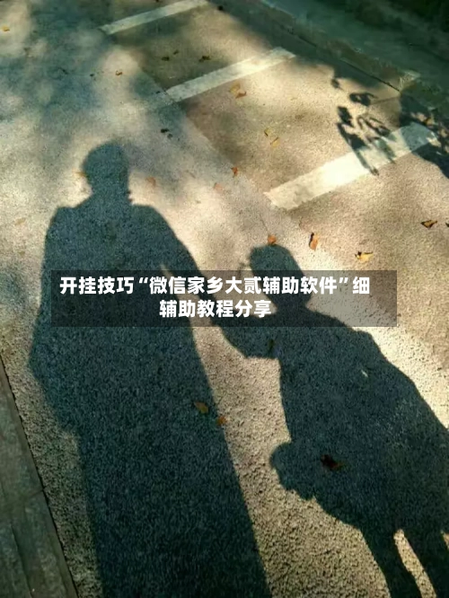 开挂技巧“微信家乡大贰辅助软件”细辅助教程分享