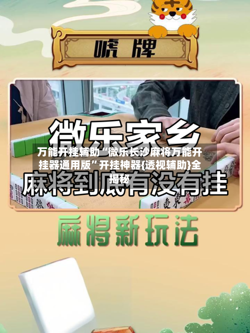 万能开挂辅助“微乐长沙麻将万能开挂器通用版”开挂神器{透视辅助}全揭秘-第3张图片