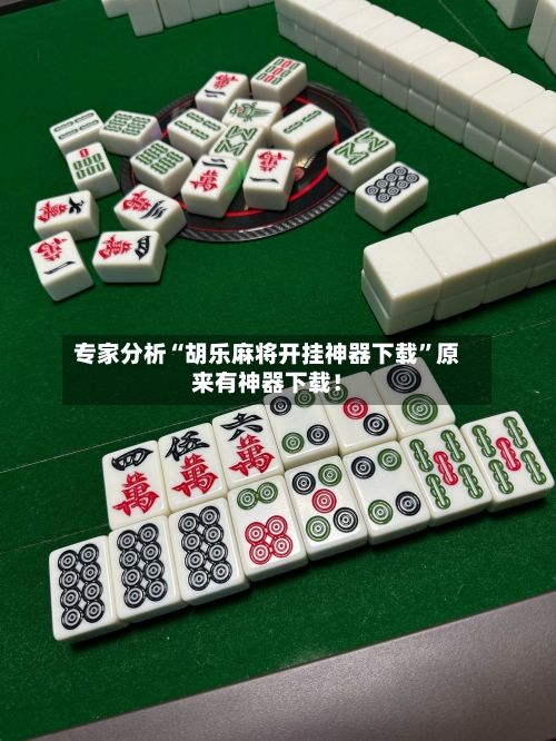 专家分析“胡乐麻将开挂神器下载”原来有神器下载！-第2张图片