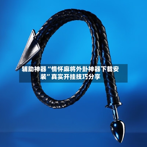 辅助神器“情怀麻将外卦神器下载安装	”真实开挂技巧分享-第2张图片