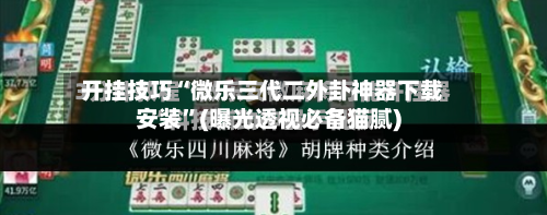 开挂技巧“微乐三代二外卦神器下载安装”(曝光透视必备猫腻)-第3张图片